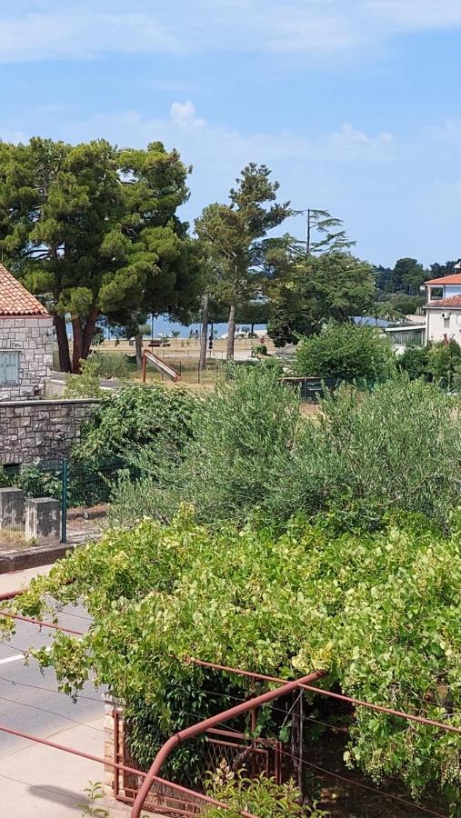 Apartments Katarina Umag Dış mekan fotoğraf